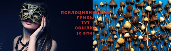 трава Абинск