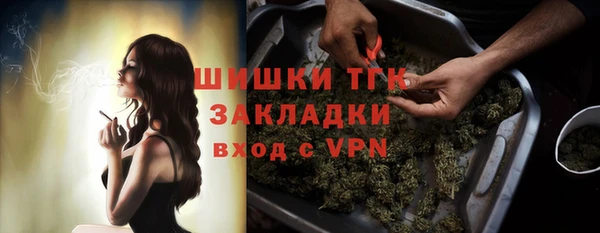 индика Абаза