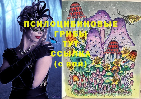 спиды Алексин