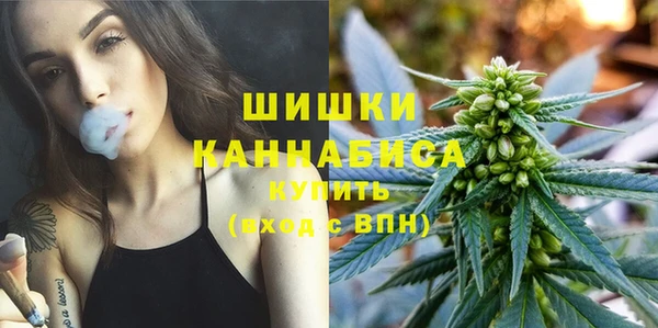 индика Абаза