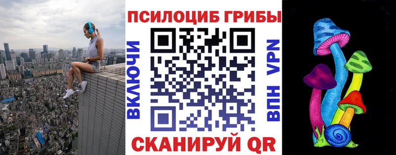 купить закладку  Подпорожье  blacksprut рабочий сайт  Галлюциногенные грибы Psilocybine cubensis 